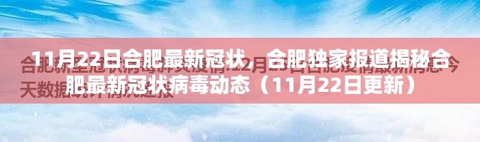 11月22日合肥最新冠状，合肥独家报道揭秘合肥最新冠状病毒动态（11月22日更新）