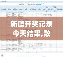 新澳开奖记录今天结果,数据驱动方案_云技术版WNU5.42