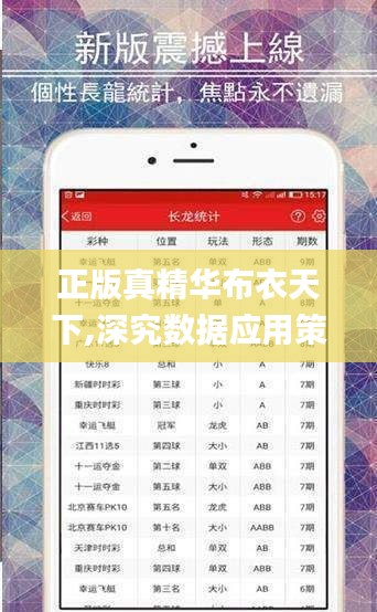 正版真精华布衣天下,深究数据应用策略_调整版ICW5.31