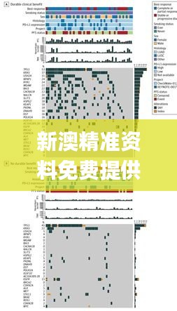 新澳精准资料免费提供267期,最新碎析解释说法_奢华版WUT5.82