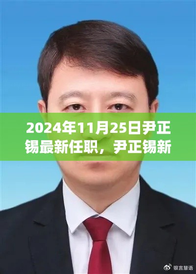 尹正锡新职务揭晓，揭秘重磅任命背后的故事，日期，2024年11月25日