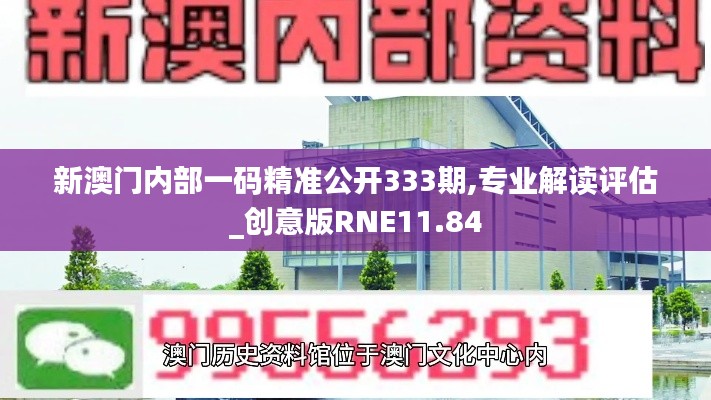 新澳门内部一码精准公开333期,专业解读评估_创意版RNE11.84