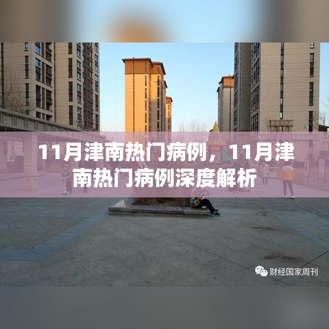 津南热门病例深度解析，聚焦11月病例研究