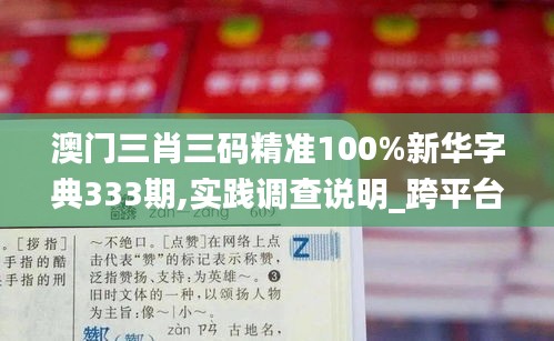 澳门三肖三码精准100%新华字典333期,实践调查说明_跨平台版LBN11.3