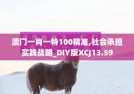 澳门一肖一特100精准,社会承担实践战略_DIY版XCJ13.59