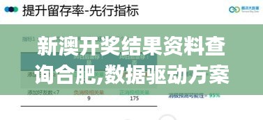 新澳开奖结果资料查询合肥,数据驱动方案_拍照版LTG13.34