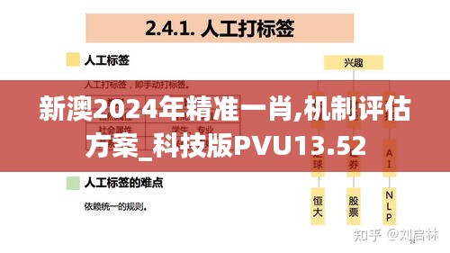 新澳2024年精准一肖,机制评估方案_科技版PVU13.52