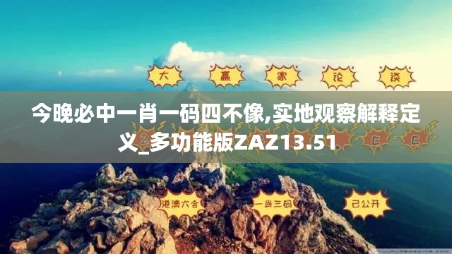 今晚必中一肖一码四不像,实地观察解释定义_多功能版ZAZ13.51