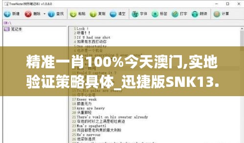 精准一肖100%今天澳门,实地验证策略具体_迅捷版SNK13.13