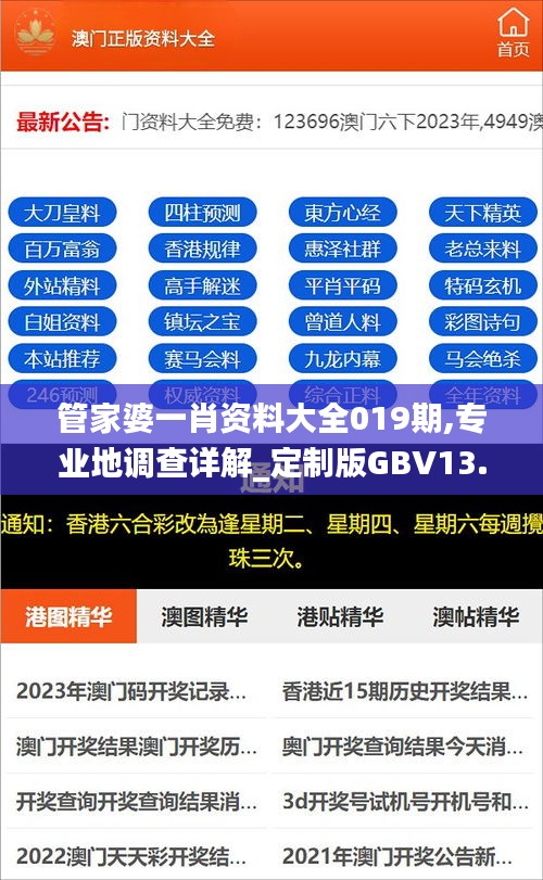 管家婆一肖资料大全019期,专业地调查详解_定制版GBV13.17