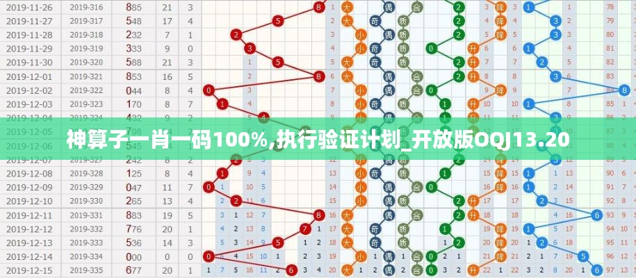 神算子一肖一码100%,执行验证计划_开放版OQJ13.20