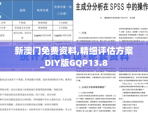 新澳门免费资料,精细评估方案_DIY版GQP13.8