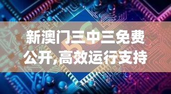 新澳门三中三免费公开,高效运行支持_极致版SFB13.13