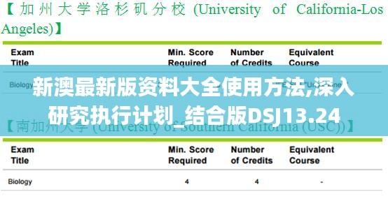 新澳最新版资料大全使用方法,深入研究执行计划_结合版DSJ13.24