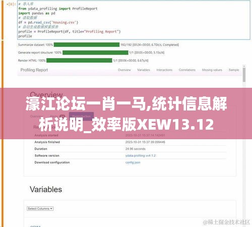 濠江论坛一肖一马,统计信息解析说明_效率版XEW13.12