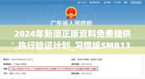 2024年新澳正版资料免费提供,执行验证计划_习惯版SMB13.98