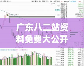 广东八二站资料免费大公开,实地观察解释定义_定义版AWP13.77