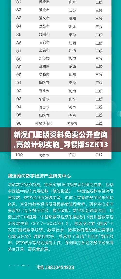 新澳门正版资料免费公开查询,高效计划实施_习惯版SZK13.81