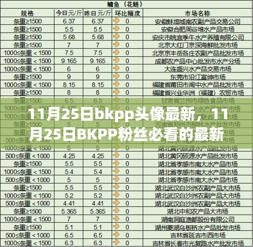 11月25日BKPP最新头像潮流，粉丝必看