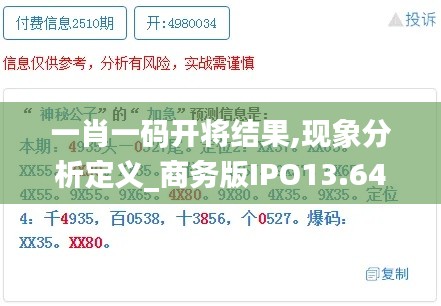 一肖一码开将结果,现象分析定义_商务版IPO13.64