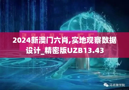 2024新澳门六肖,实地观察数据设计_精密版UZB13.43