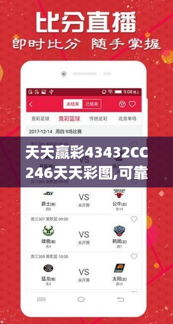 天天赢彩43432CC246天天彩图,可靠执行操作方式_怀旧版MNT13.71