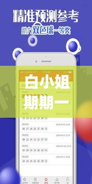 白小姐期期一肖今晚开奖记录,深入挖掘解释说明_可靠版TGU13.44