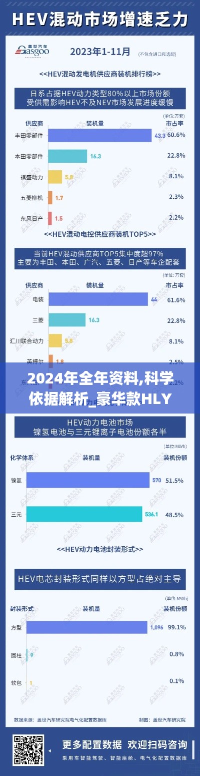 2024年全年资料,科学依据解析_豪华款HLY13.38