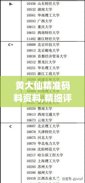 黄大仙精准码料资料,精细评估方案_理想版OUL13.8