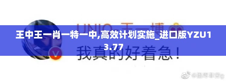 王中王一肖一特一中,高效计划实施_进口版YZU13.77