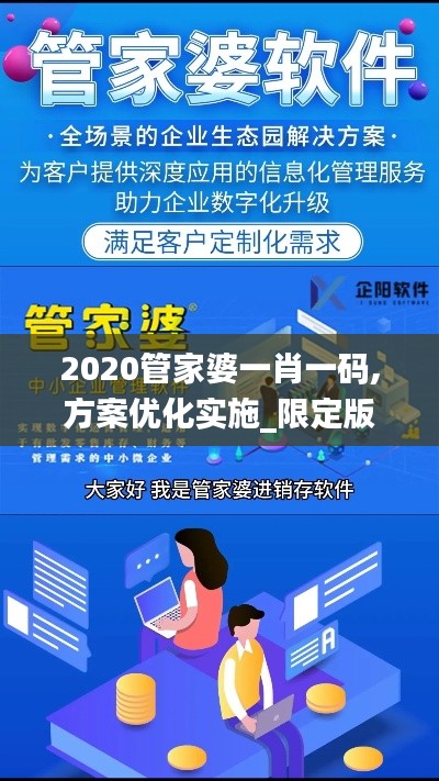 2020管家婆一肖一码,方案优化实施_限定版NQM13.34