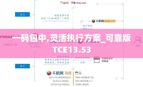 一码包中,灵活执行方案_可靠版TCE13.53