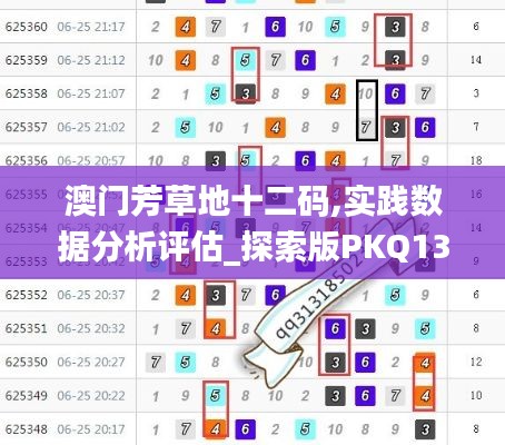 澳门芳草地十二码,实践数据分析评估_探索版PKQ13.19