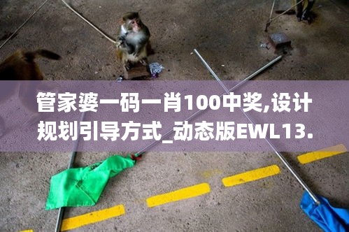 管家婆一码一肖100中奖,设计规划引导方式_动态版EWL13.48