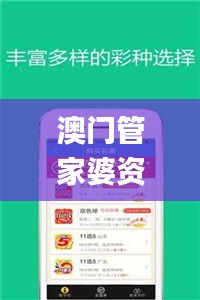 澳门管家婆资料正版大全,执行机制评估_启天境NOP13.26