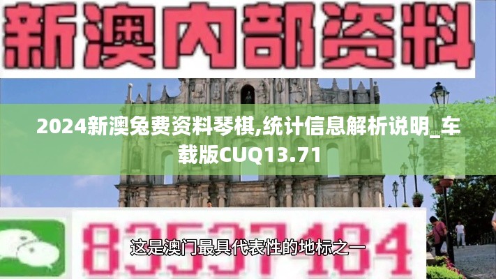 2024新澳兔费资料琴棋,统计信息解析说明_车载版CUQ13.71