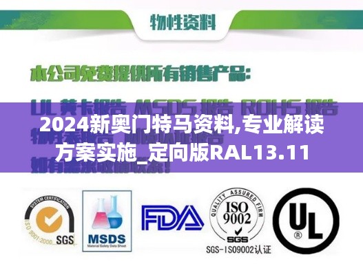 2024新奥门特马资料,专业解读方案实施_定向版RAL13.11