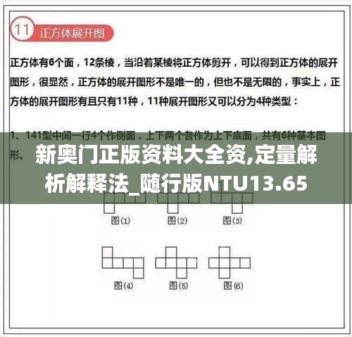 新奥门正版资料大全资,定量解析解释法_随行版NTU13.65