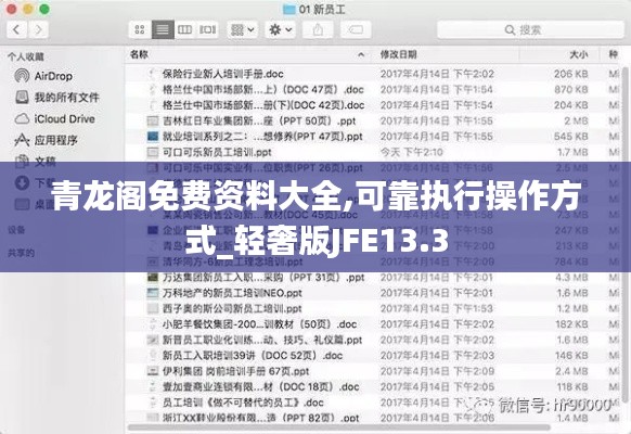 青龙阁免费资料大全,可靠执行操作方式_轻奢版JFE13.3