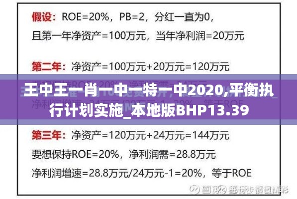 王中王一肖一中一特一中2020,平衡执行计划实施_本地版BHP13.39