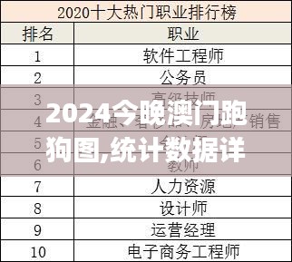 2024今晚澳门跑狗图,统计数据详解说明_紧凑版XMT13.87