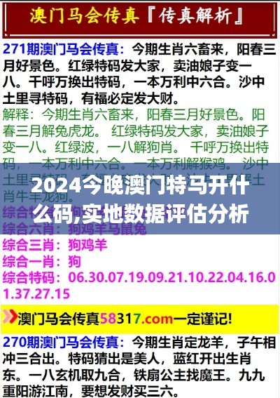 2024今晚澳门特马开什么码,实地数据评估分析_闪电版STO13.97