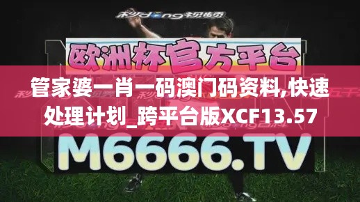 管家婆一肖一码澳门码资料,快速处理计划_跨平台版XCF13.57