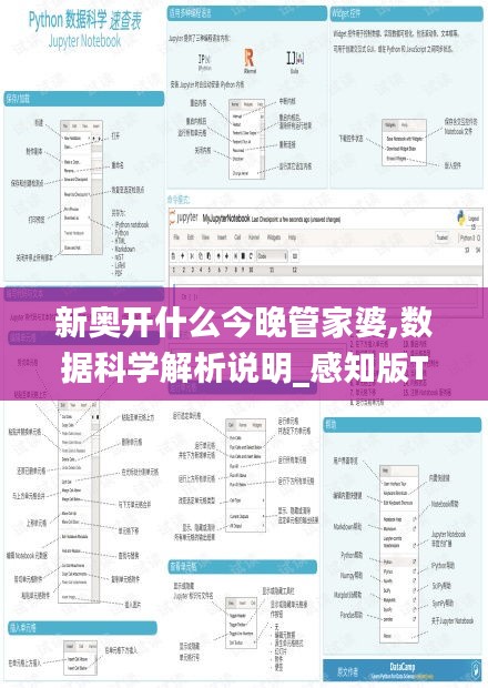 新奥开什么今晚管家婆,数据科学解析说明_感知版TFN13.49