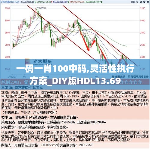 一码一肖100中码,灵活性执行方案_DIY版HDL13.69