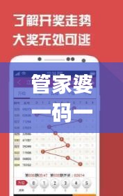 管家婆一码一肖100中中中,实地数据评估分析_社交版DID13.95