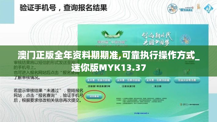 澳门正版全年资料期期准,可靠执行操作方式_迷你版MYK13.37