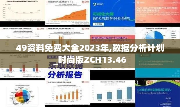 49资料免费大全2023年,数据分析计划_时尚版ZCH13.46