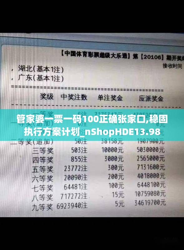 管家婆一票一码100正确张家口,稳固执行方案计划_nShopHDE13.98