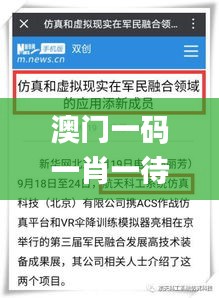 澳门一码一肖一待一中四不像,仿真方案实施_媒体宣传版EHZ13.67